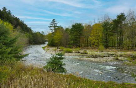 The Tannery House - Foto 75