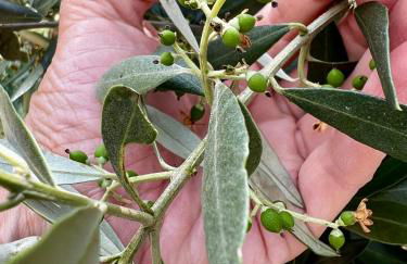 Casa da Curva - Foto 57