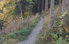 Ferienwohnung Müller - Foto 4