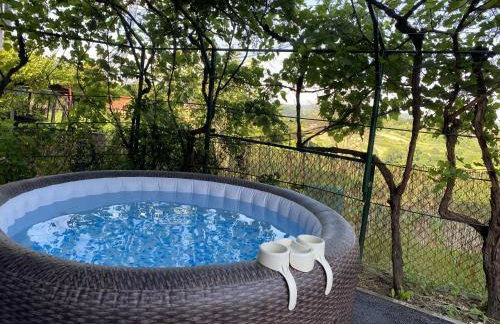 Family friendly house with a swimming pool Donja Stubica, Zagorje - 19236 - Foto 5