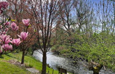 Am Flussgarten - Foto 16