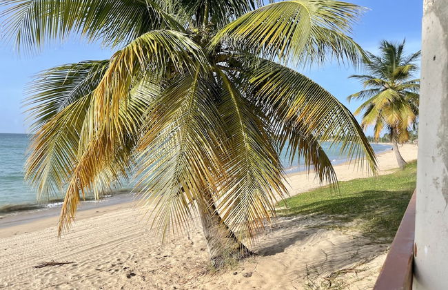 Villa Jobos in Isabela - Foto 29