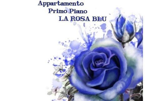 La casa dei gabbiani - Foto 2