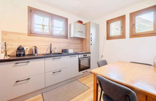 House 11 guests 2 cozy apartments near ski slopes - Foto 33