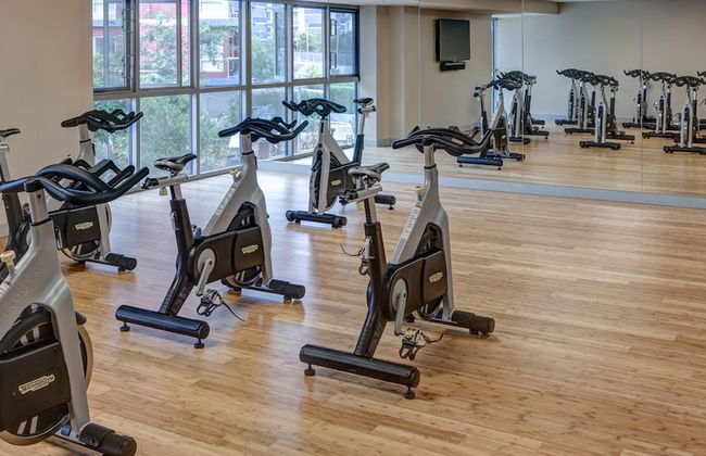 Global Luxury Suites at Marina Del Rey - Foto 54