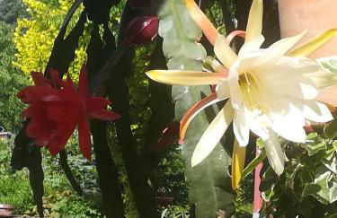 Ferienwohnung Hellriegel - Foto 30