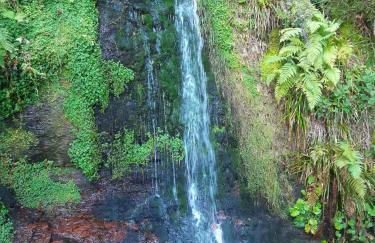 FeWo Schwarzwald von oben - Kniebis - Foto 31