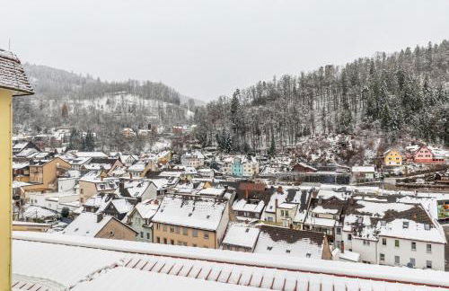 Schwarzwald Nescht Triberg - Foto 20