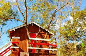 Sitio Casa na Árvore - Photo 20