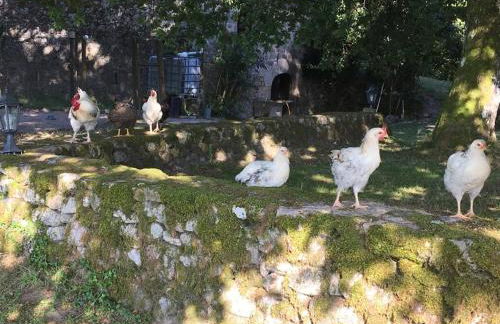 Gite Les Sources - Foto 26