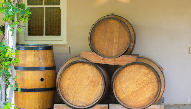 Tour de un día entero: Lo más destacado de la Ciudad del Cabo - Foto 5