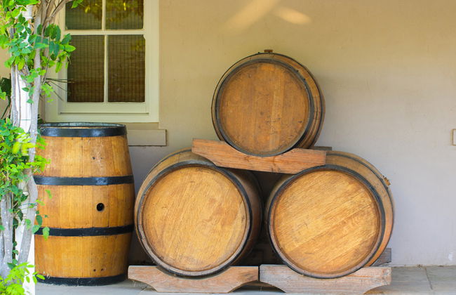 Tour de un día entero: Lo más destacado de la Ciudad del Cabo - Foto 5