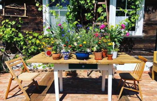 Magiczne Podlasie - Foto 12