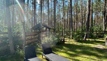 Domek lubiana180 SCANDI wśród drzew JACUZZI SAUNA KOMiNEK i TARAS na dachu jezioro Kaszuby Pieski tylko do 10kg za dodatkową opłatą - Foto 4