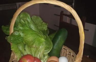 El Desván del Campanero apartamento con jardín - Foto 36