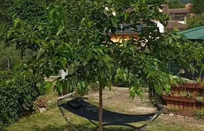 Residence Grimani - Photo 63