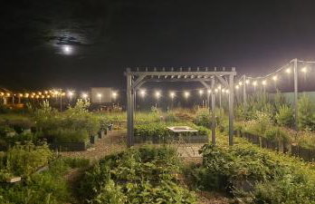 Osada Miłojeż - całoroczne Domy Premium w Borach Tucholskich, Jacuzzi pod gwiazdami - Foto 56