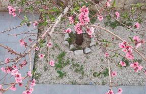 New Sea Escape Boutique Apt-Agii Aposto li beach - Foto 70