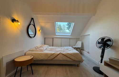 Le Moderne - 6pers - Bugatti Circuit - Zoo - Photo 8