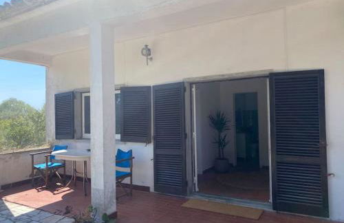 House of green leaves - Foto 11