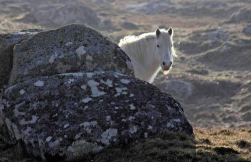 Eriskay Views Cottage - Foto 20