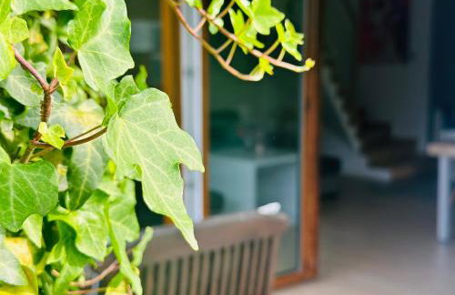 Dom nad jeziorem Miedwie, Zieleniewo - Foto 33