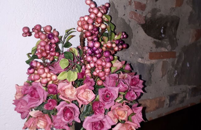 Agriturismo Villa Bracali - Foto 8