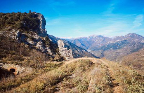 Vitis Verde - Foto 17