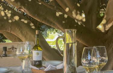 Tenuta dei Principi di Spadafora - Foto 55