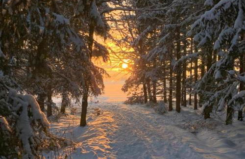 Quiet Comfort in Oelsnitz - Foto 37