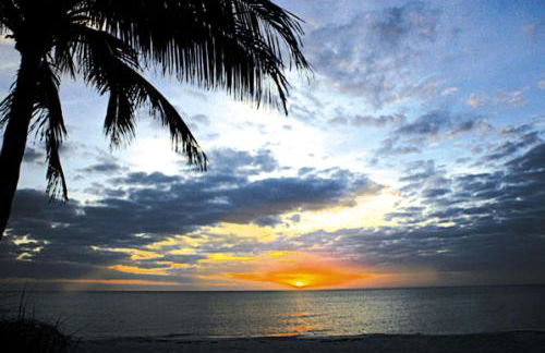 Falling Waters - Foto 33