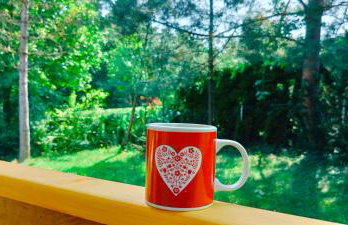 Domek pod Wiewiórką digital detox & balance - Foto 9