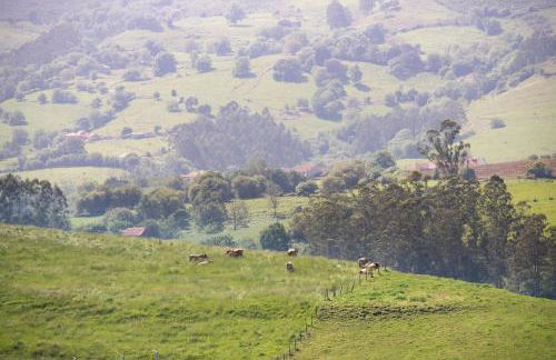 La Casona de Obdulia - Foto 32