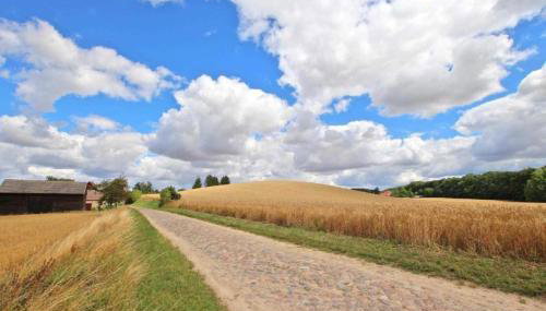 Alte Schmiede - Foto 3