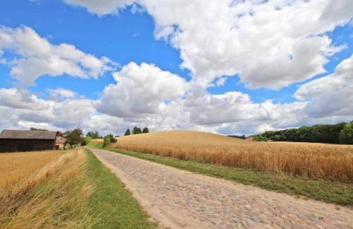 Alte Schmiede - Photo 3