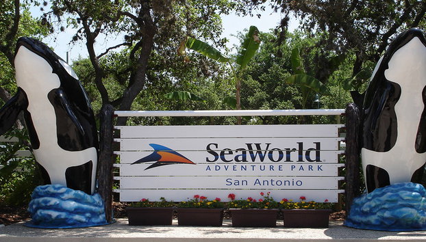 SeaWorld San Antonio - Foto 2