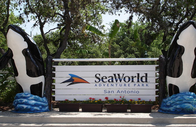 SEAWORLD SAN ANTONIO - Foto 3