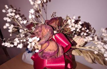 Villa Antonio - Photo 20