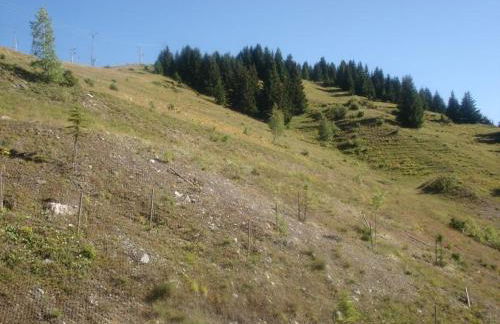 Appartement lumineux 8 pers, parking, Courchevel 1650 - FR-1-514-19 - Foto 8