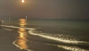 Bibione Landora Nummer 141 - Foto 2