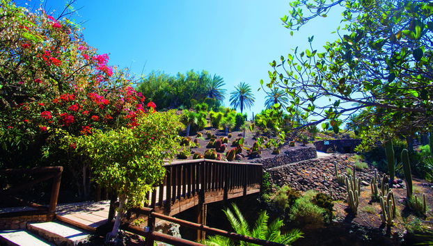 Oasis Wildlife Strongventura - Photo 2