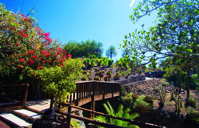 Oasis Wildlife Fuerteventura - Foto 2
