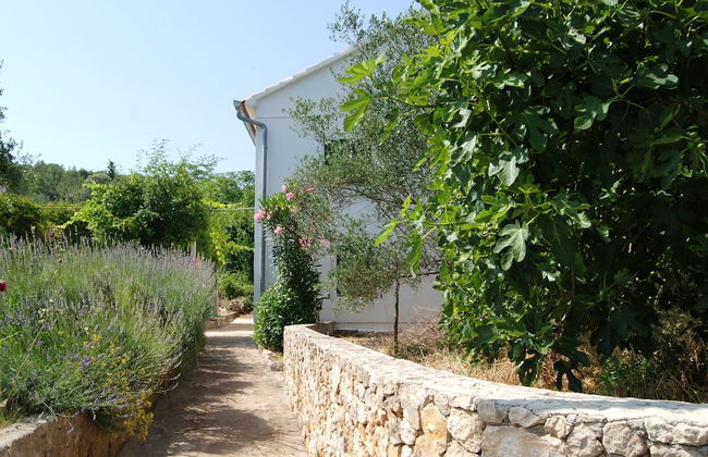 Detached House Miketa - Foto 53