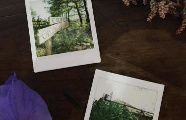 Agriturismo La Casina della Burraia - Foto 81