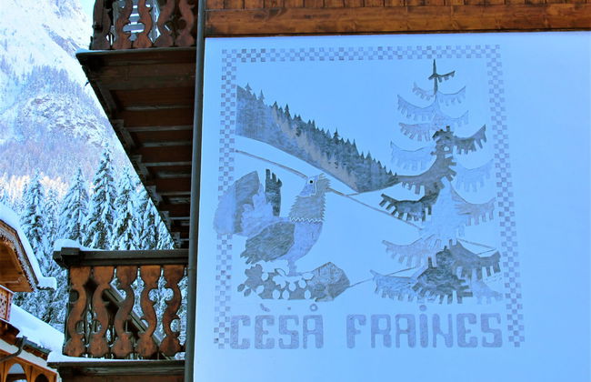 Cesa Fraines - Foto 17