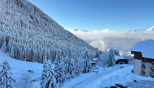 Appartement 8 personnes à Le Biot - Foto 2