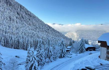 Appartement 8 personnes à Le Biot - Foto 2