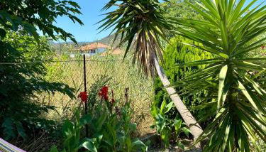 Pitsa's Rooms - Foto 2