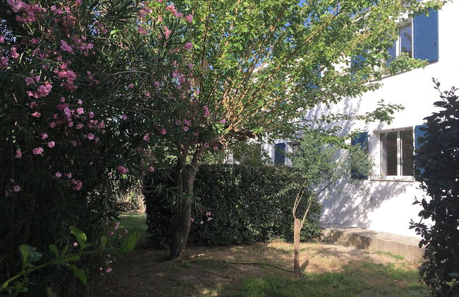 Les Mûriers - Photo 47