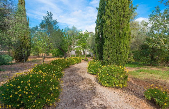 Cas Pilot in Santa Maria del Cam - Photo 27